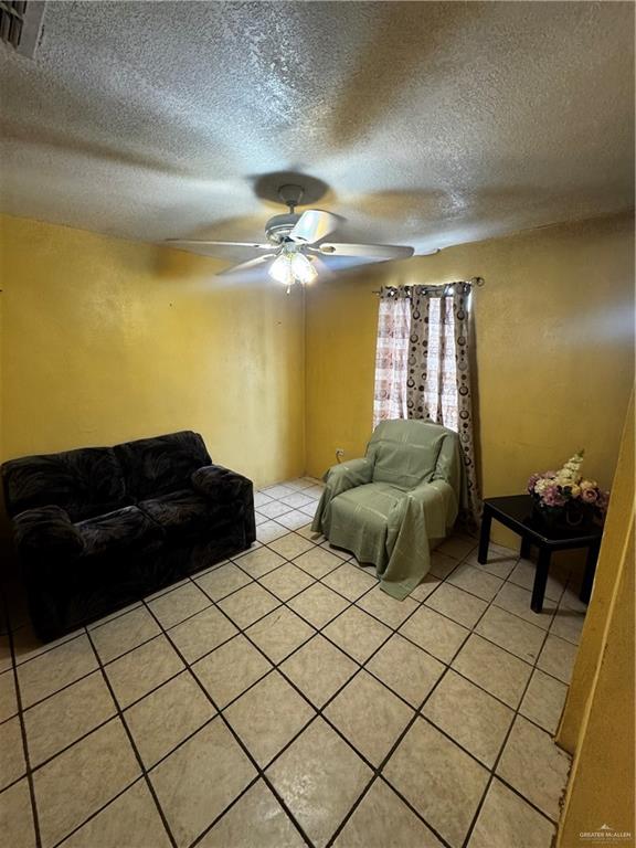 195 Juan Naranjo Road Roma, TX 78584 - Photo 3 of 11
