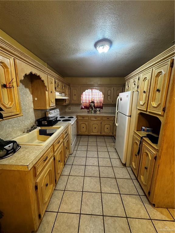 195 Juan Naranjo Road Roma, TX 78584 - Photo 6 of 11