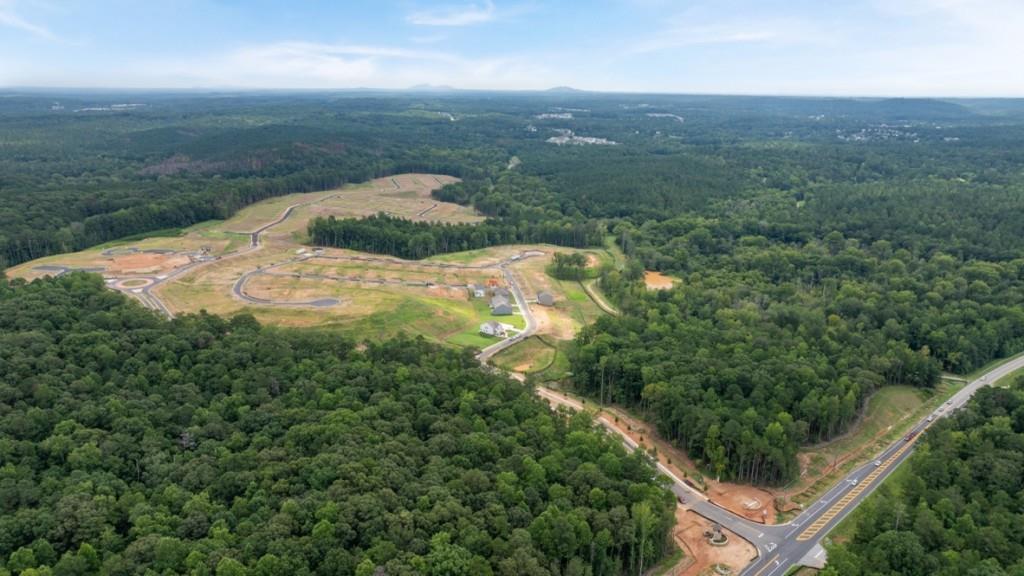 92 Cyrilla Walk Dallas, GA 30132 - Photo 30 of 35 an aerial view of residential houses with outdoor space and trees
