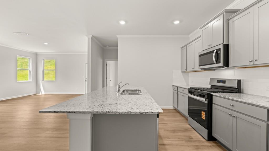 92 Cyrilla Walk Dallas, GA 30132 - Photo 6 of 35 a kitchen with stainless steel appliances granite countertop a stove a sink and a microwave