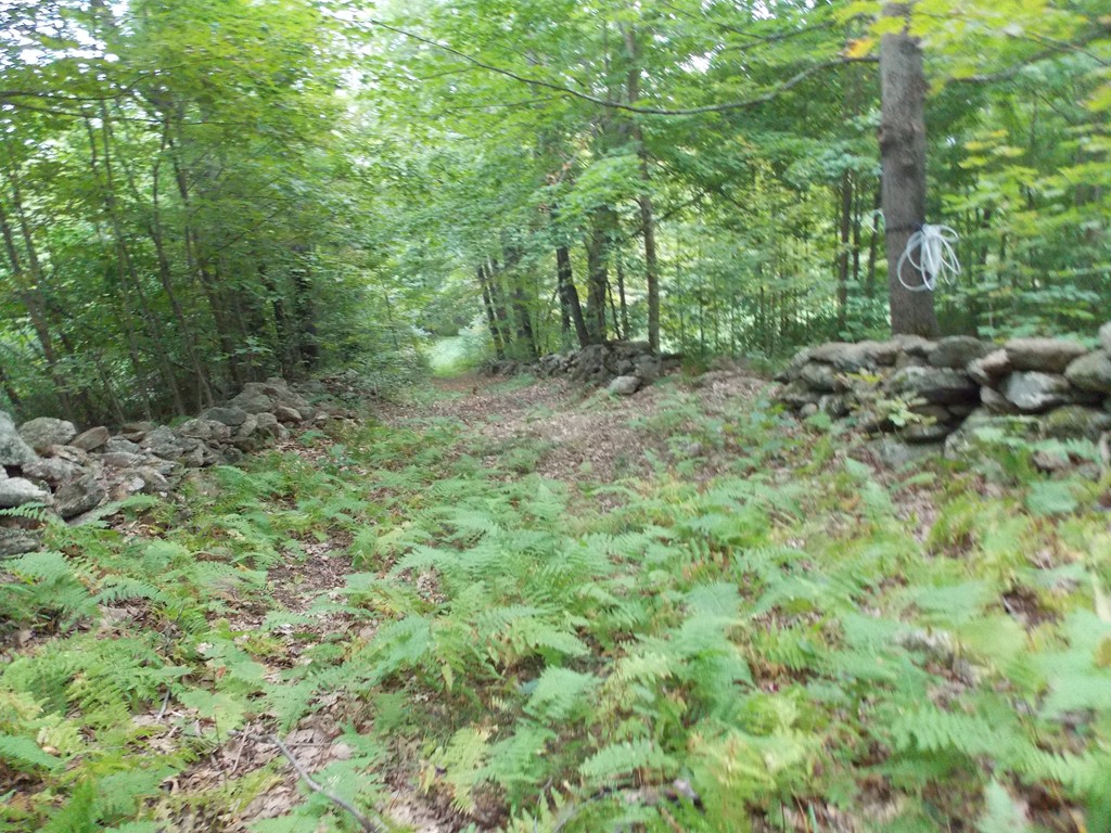Lot 1 Kruse Road Hubbardston, MA 01452 - Photo 1 of 2 Gallery Image 1