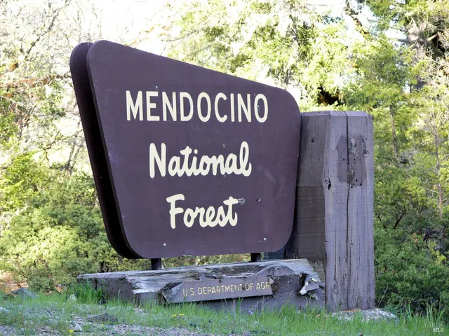 $299,000 | 3320 Booth Way, Potter Valley, CA 95469