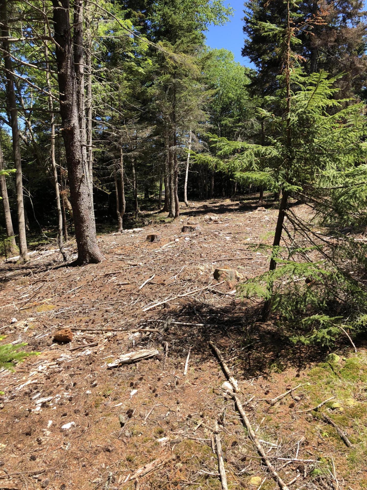 413 Minturn Road Swans Island, ME 04685 - Photo 20 of 26 mQVueilaRp++a314OMXhHw