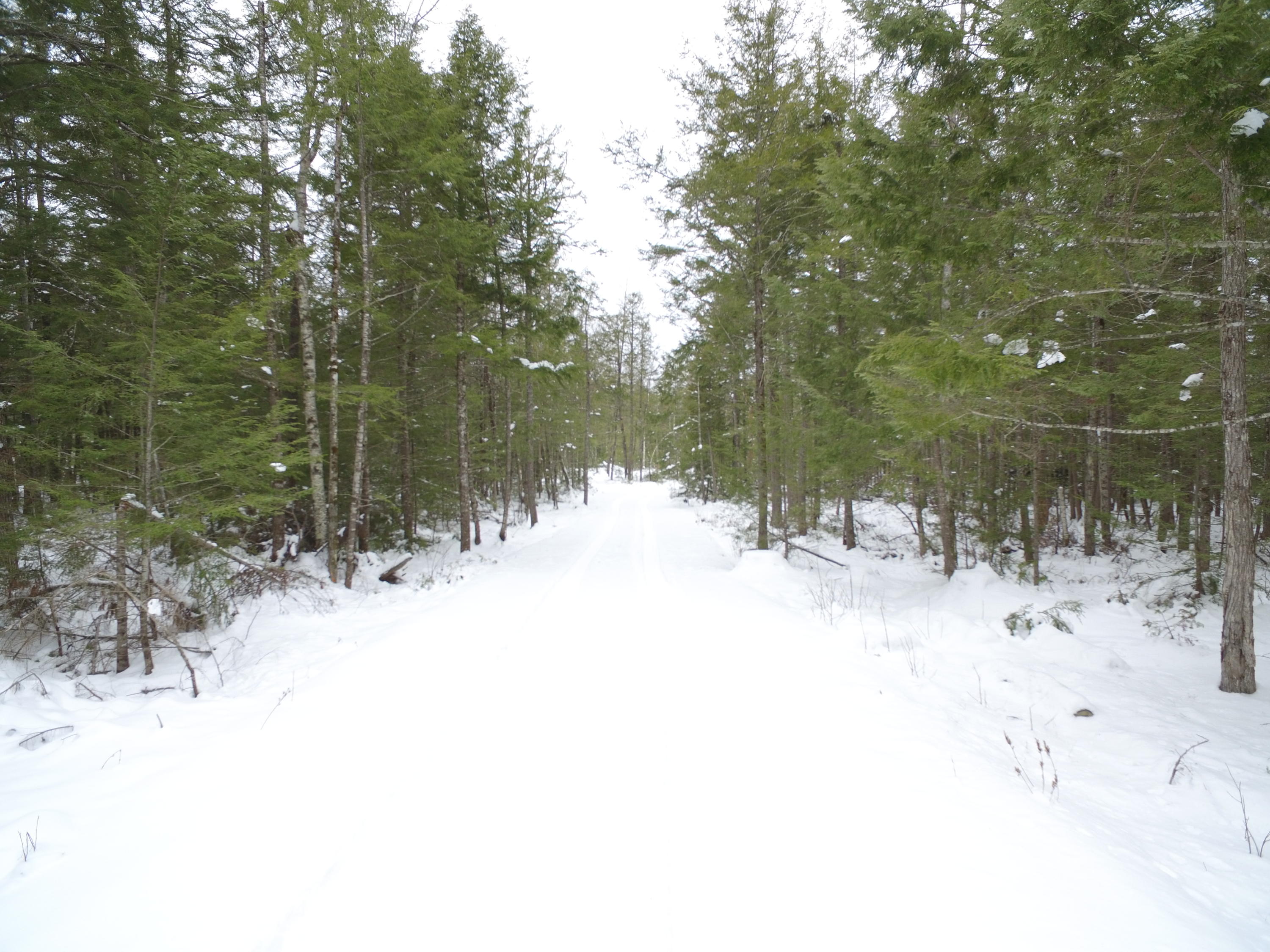 49 Map Road Lincoln, ME 04457 - Photo 3 of 9 DJI_0072