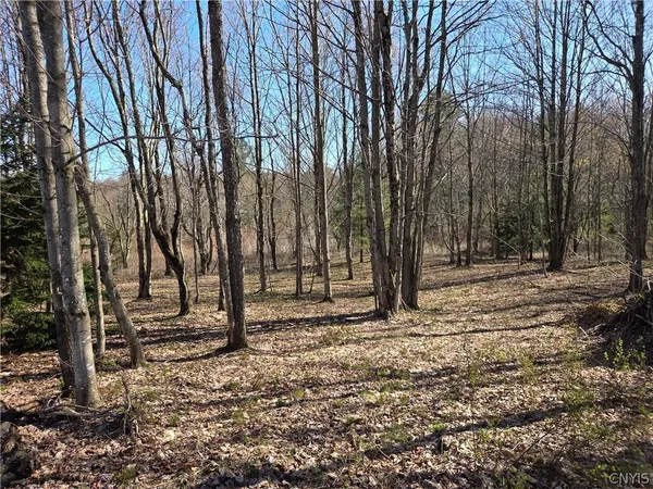 $59,000 | 5008 George Kraeger Road, West Turin, NY 13309