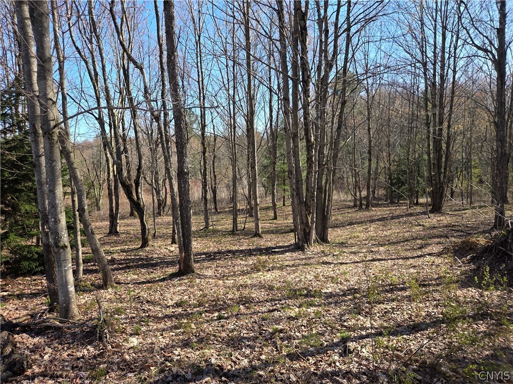 5008 George Kraeger Road West Turin, NY 13309 - Photo 11 of 14