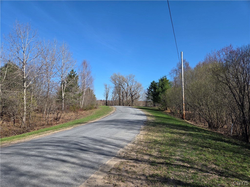 5008 George Kraeger Road West Turin, NY 13309 - Photo 2 of 14