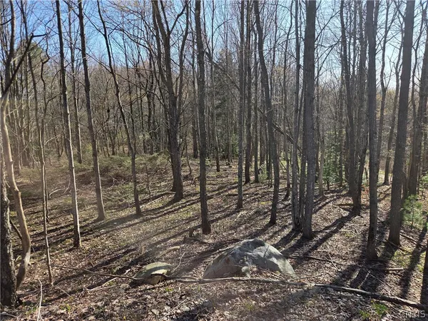 $59,000 | 5008 George Kraeger Road, West Turin, NY 13309