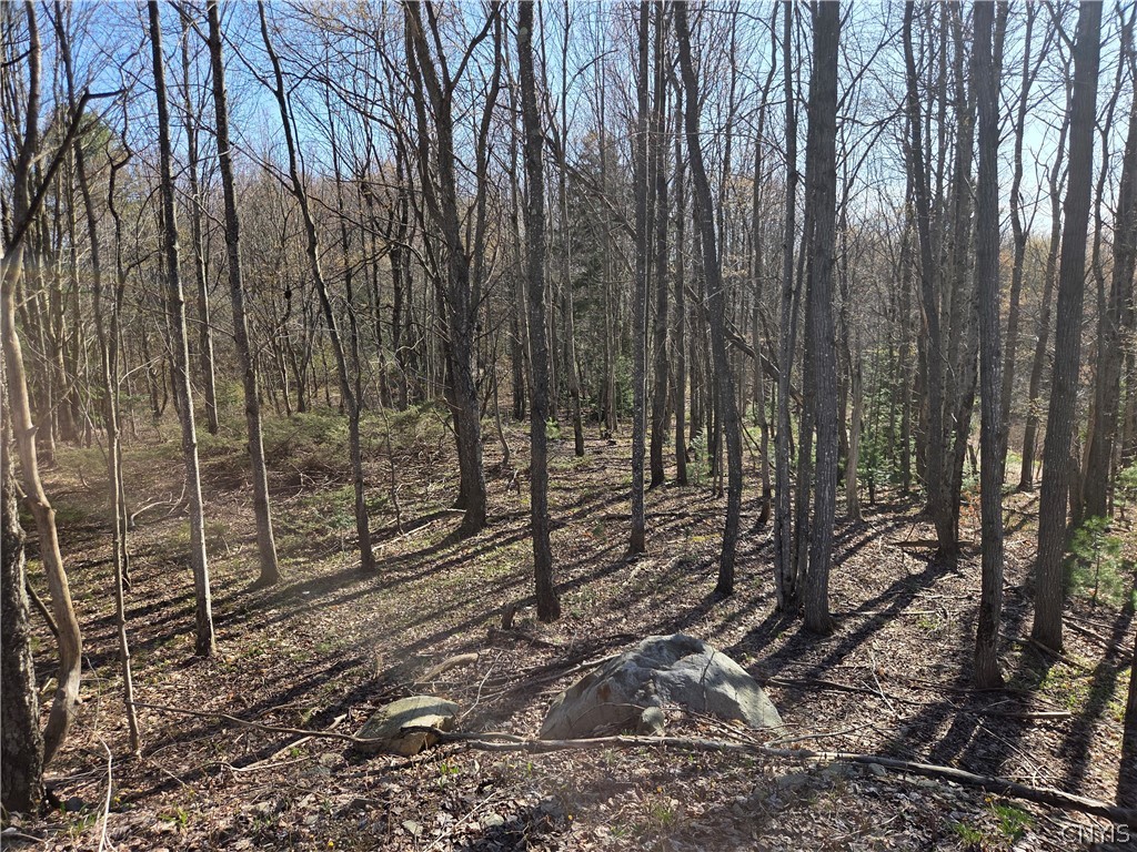 5008 George Kraeger Road West Turin, NY 13309 - Photo 10 of 14