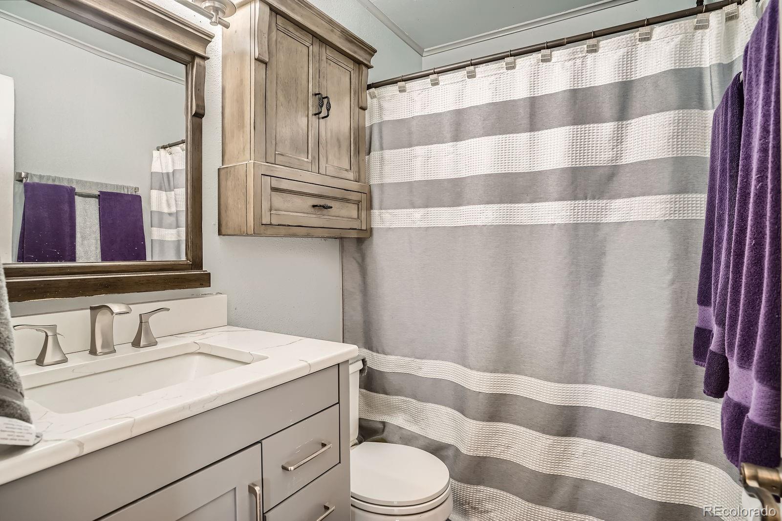 8510 Faraday Street Denver, CO 80229 - Photo 14 of 25 a bathroom with a sink and a mirror