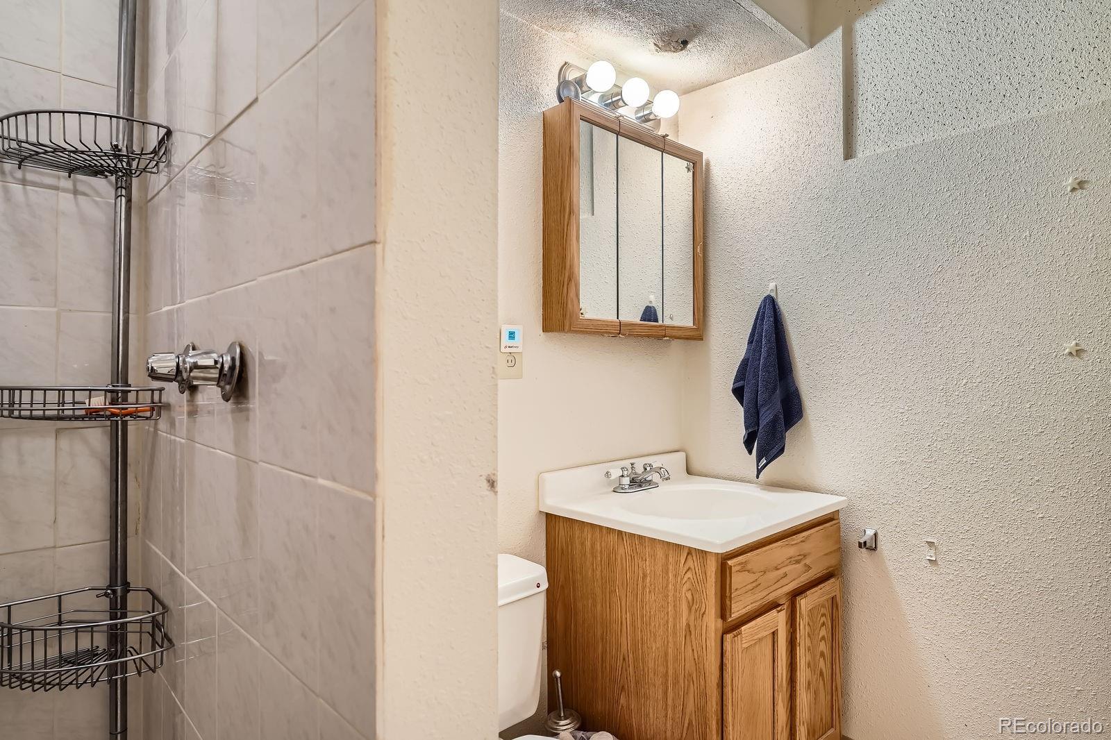 8510 Faraday Street Denver, CO 80229 - Photo 18 of 25