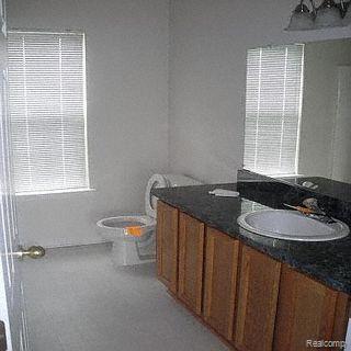 280 Dundee Ridge Drive Dundee, MI 48131 - Photo 6 of 11 BATH