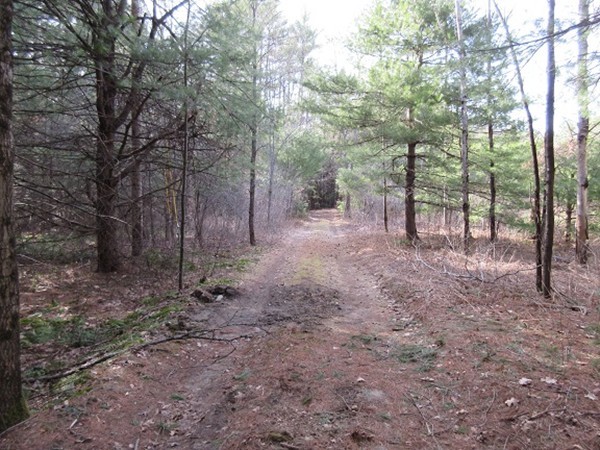0 Moss Brook Road Orange, MA 01364 - Photo 4 of 17