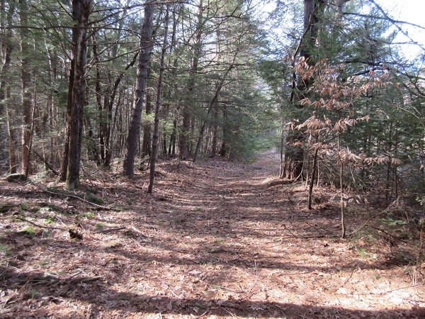 0 Moss Brook Road Orange, MA 01364 - Photo 5 of 17