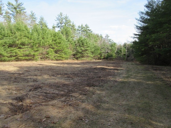 0 Moss Brook Road Orange, MA 01364 - Photo 8 of 17