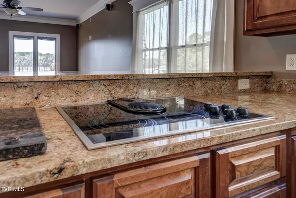 $1,090,000 | 667 Rockingham Road, Gray, TN 37615