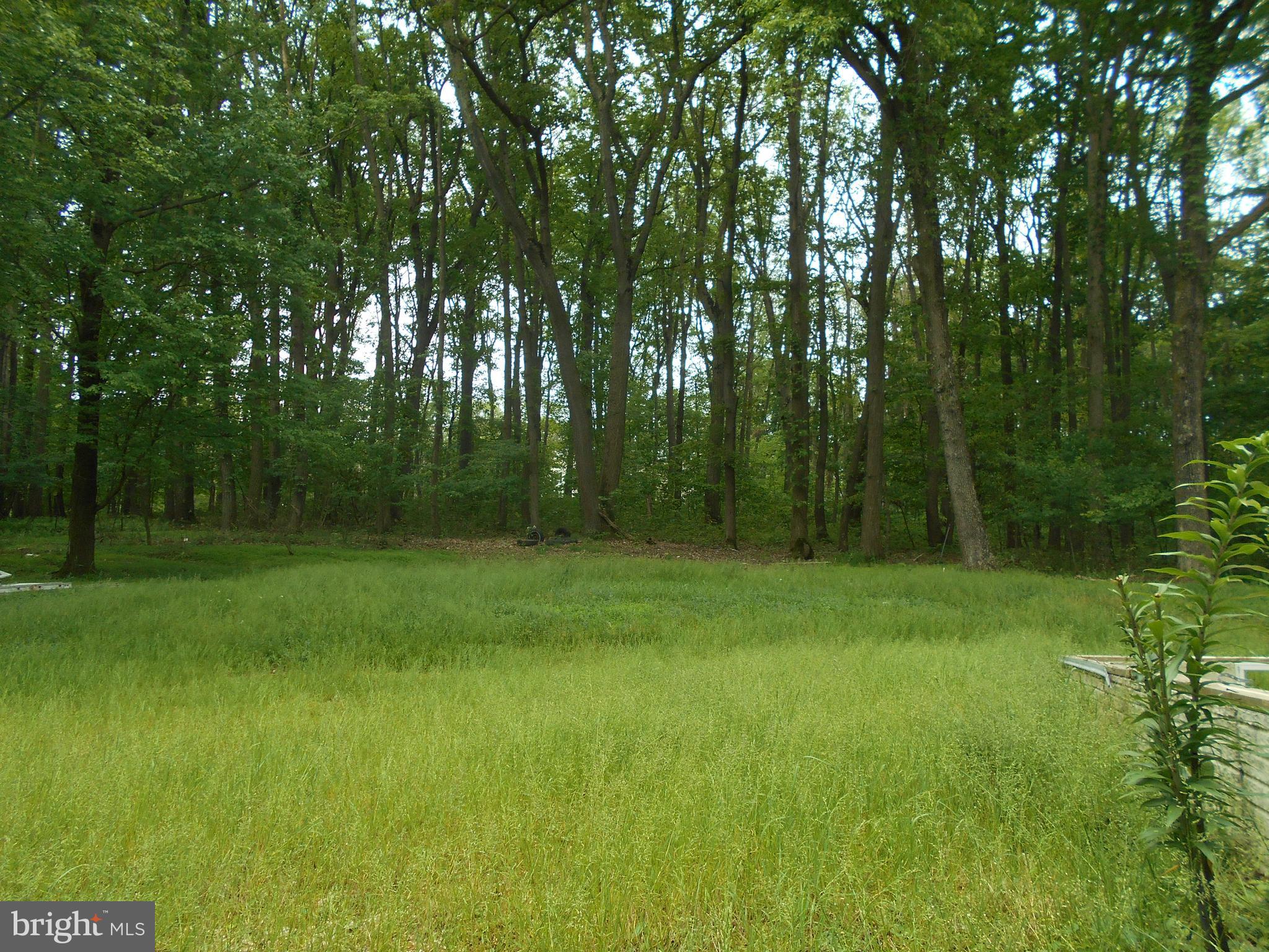 4853 Bushey Road Sykesville, MD 21784 - Photo 3 of 5 WELL AND SEPTIC ON PROPERTY