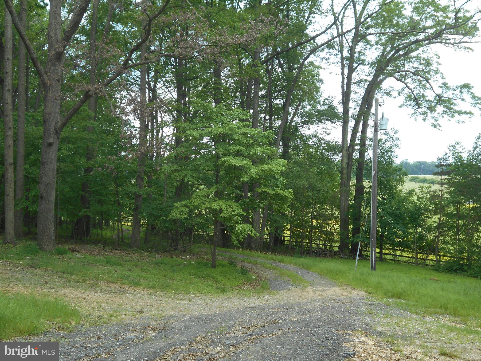 4853 Bushey Road Sykesville, MD 21784 - Photo 4 of 5 BEAUTIFUL VIEWS OF SURROUNDING FARM