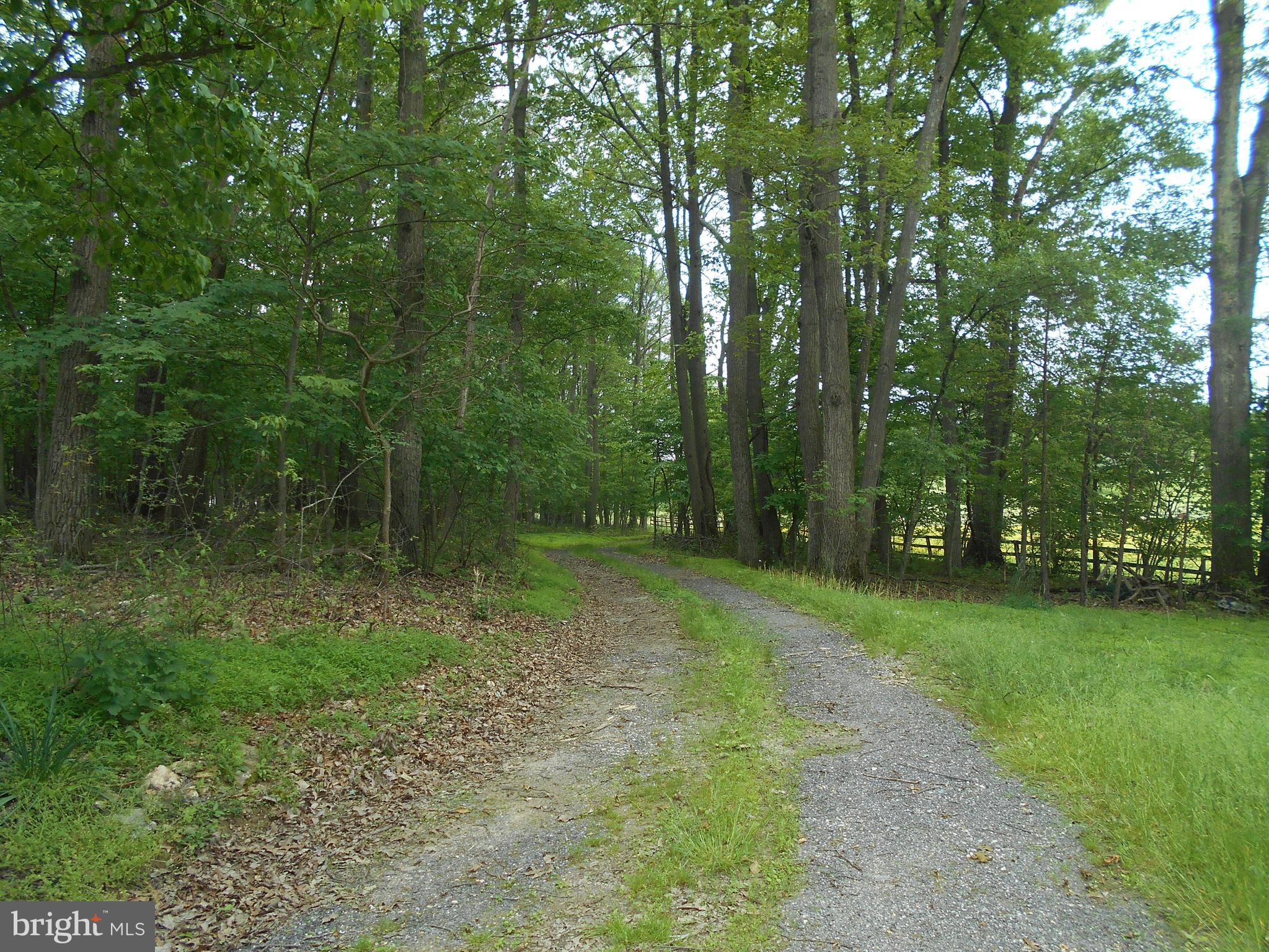 4853 Bushey Road Sykesville, MD 21784 - Photo 5 of 5 PRIVACY AND NATURE ABOUNDS