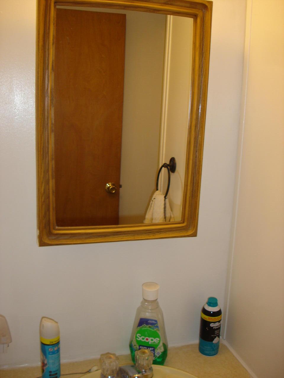 9 Holiday Lane Standish, ME 04084 - Photo 20 of 27 DSC09741