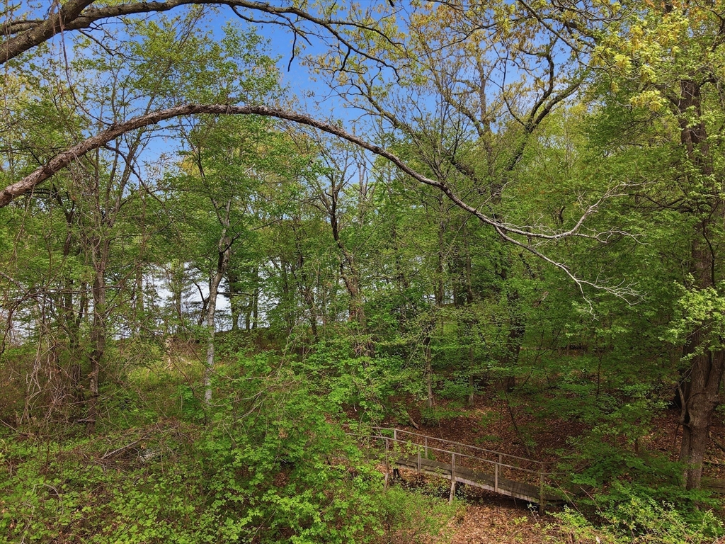 22 Kruger Road Hopkinton, MA 01748 - Photo 7 of 40