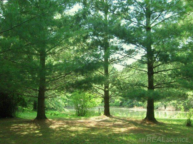 6680 Holverson Road Carsonville, MI 48419 - Photo 33 of 52 31238470-32.JPG