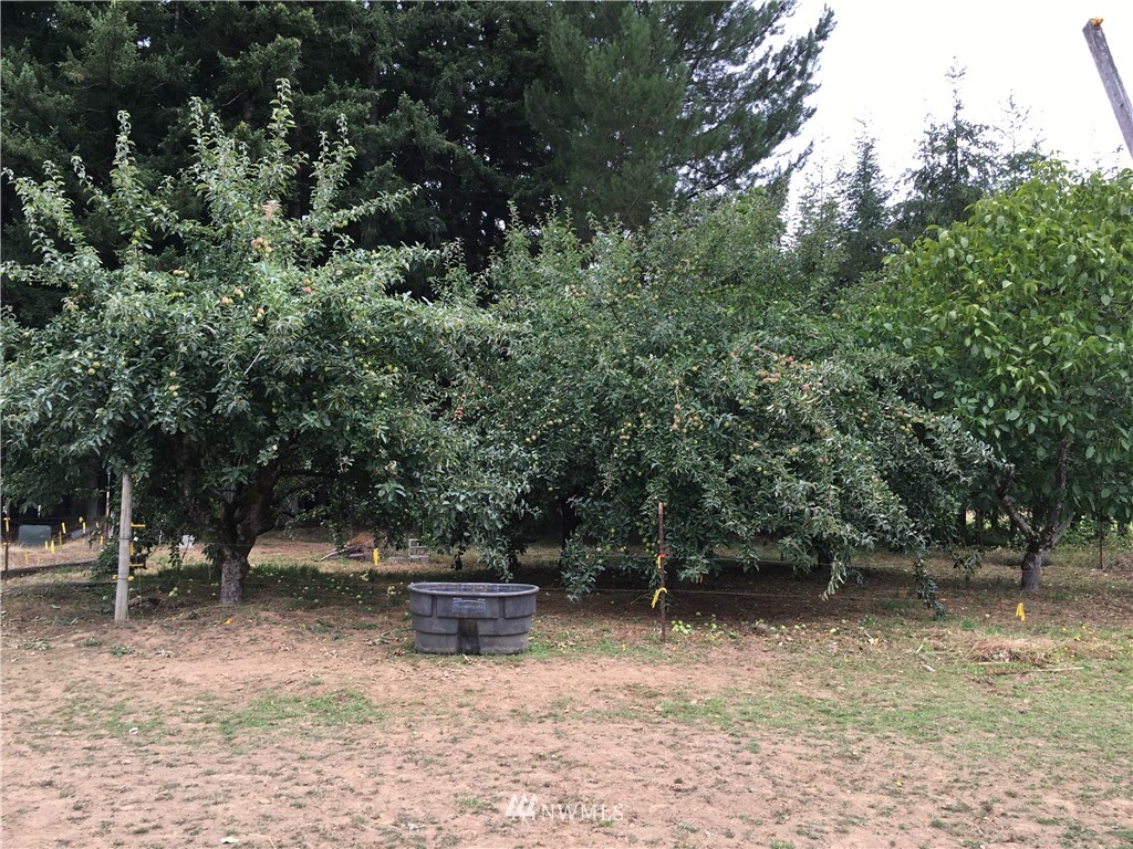 515 Brown Road East Chehalis, WA 98532 - Photo 17 of 22