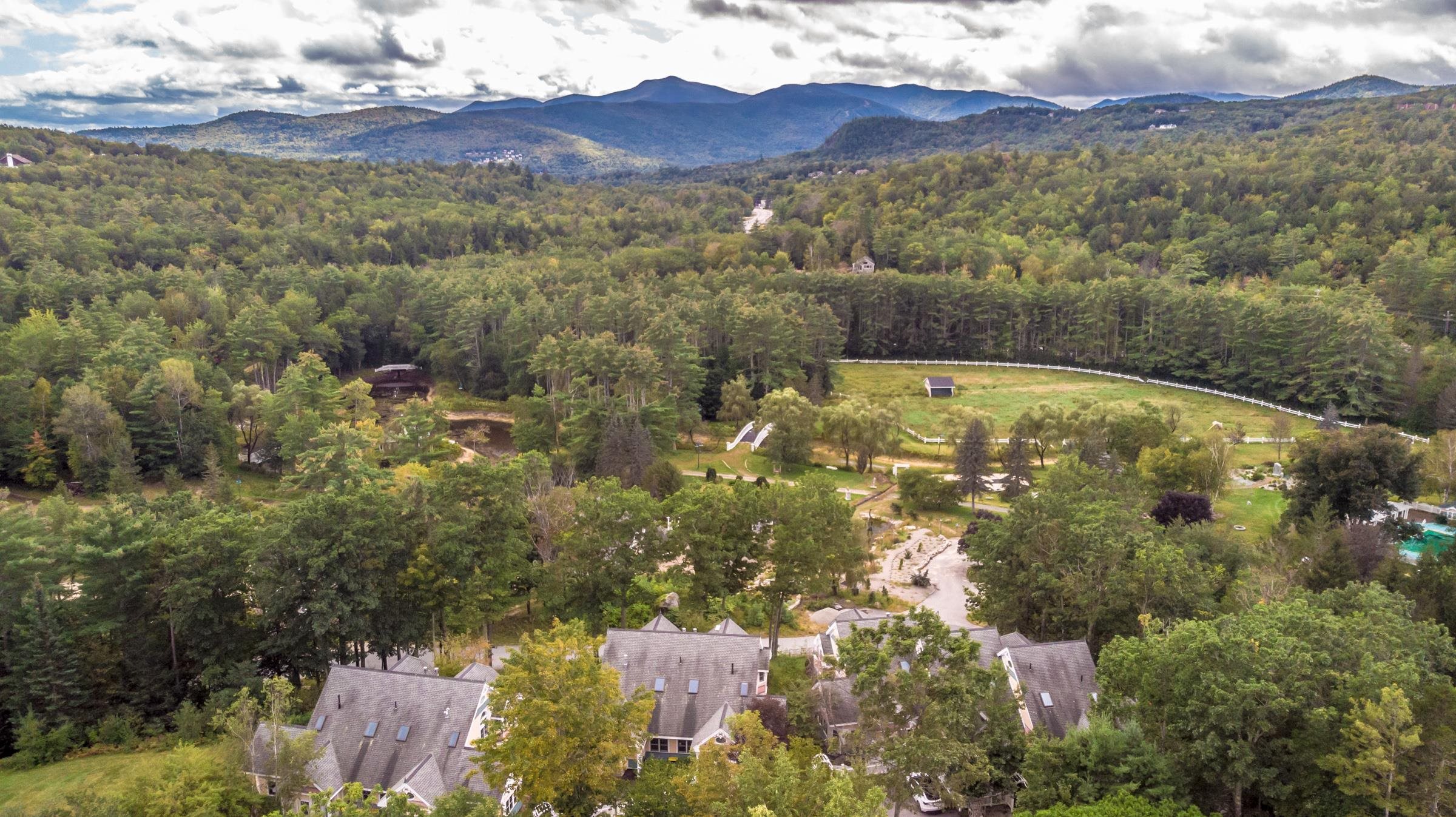 95 Dinsmore Road, Unit 95B Jackson, NH 03846 - Photo 15 of 26