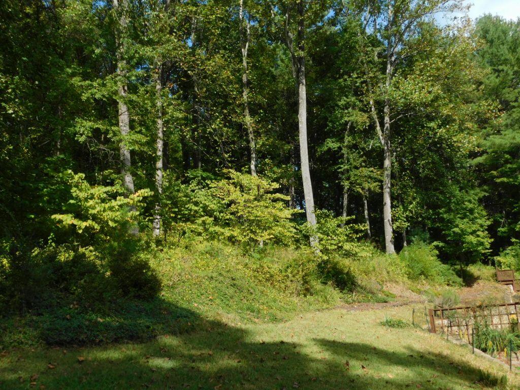 6044 Sunnycrest Road Roanoke, VA 24018 - Photo 55 of 57 Woods