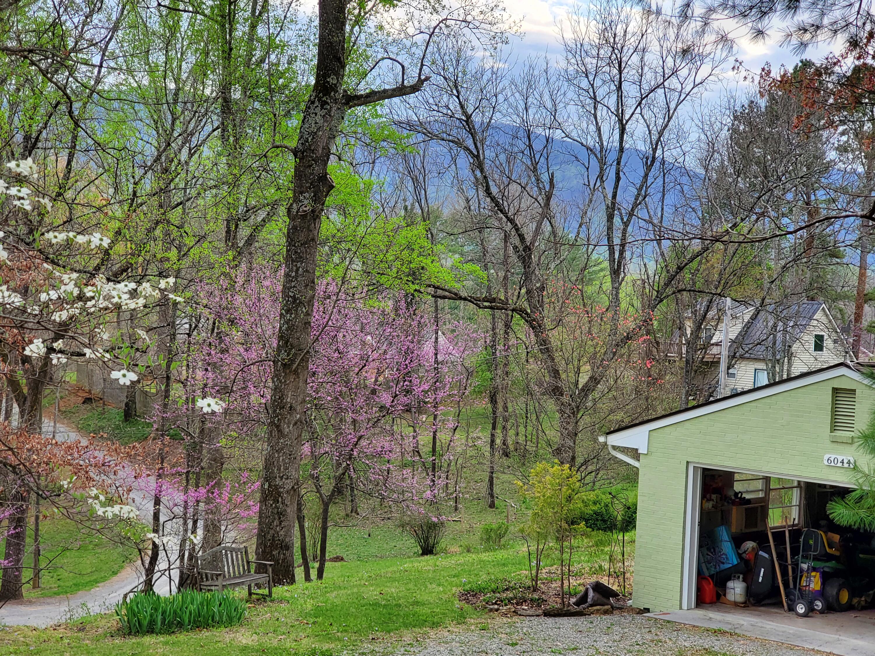 6044 Sunnycrest Road Roanoke, VA 24018 - Photo 57 of 57 Mountain Views