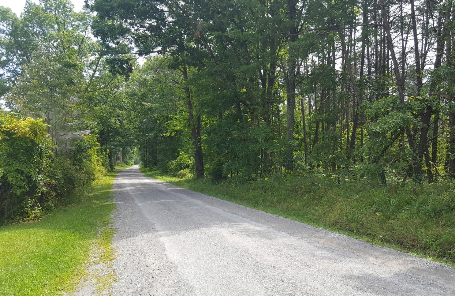 Deck Road Crossville, TN 38572 - Photo 2 of 4 3