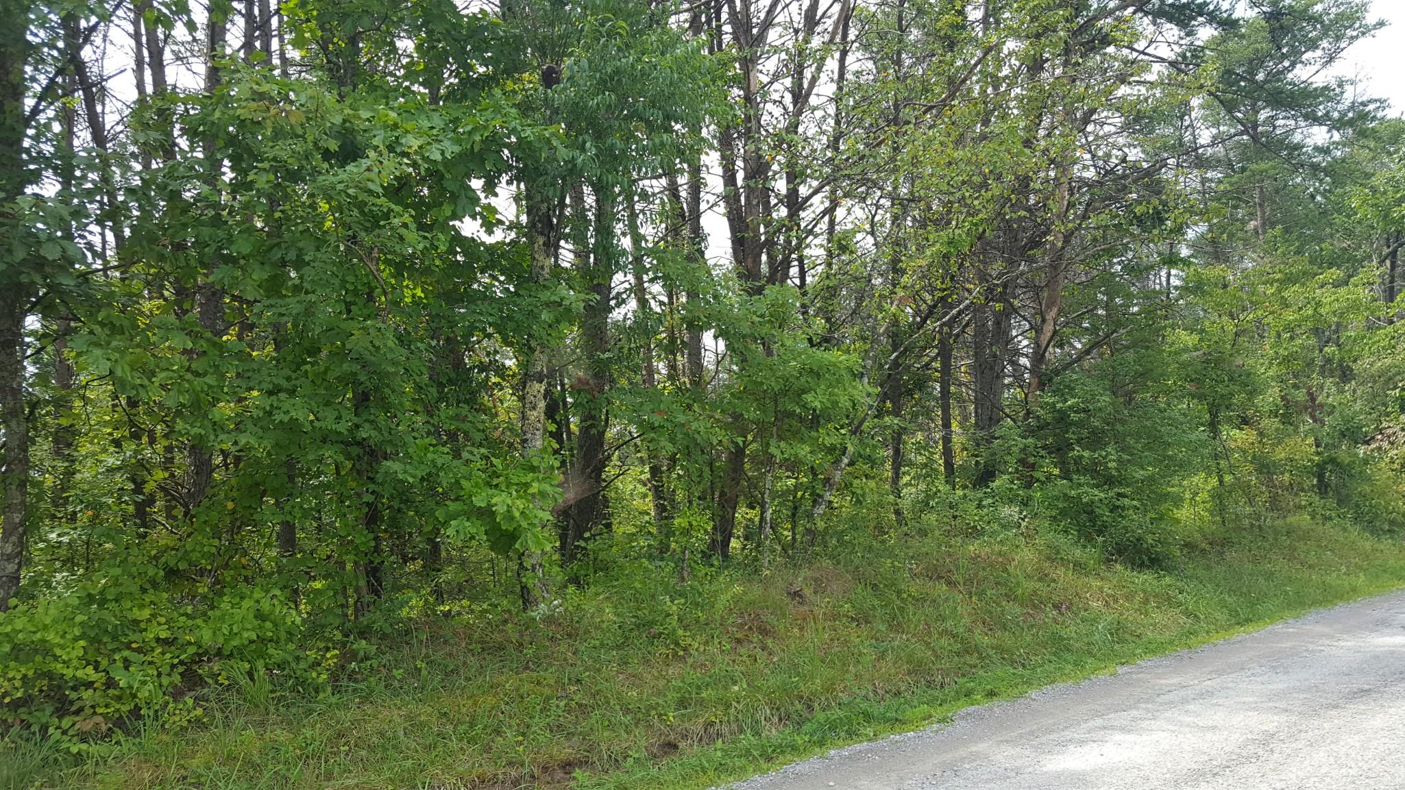 Deck Road Crossville, TN 38572 - Photo 4 of 4 2