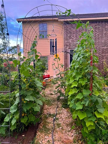 a front view of a house with plants