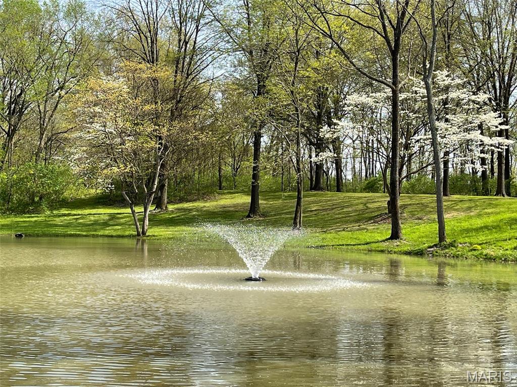 401 South Mulberry Road Collinsville, IL 62234 - Photo 8 of 10 Gallery Image 8