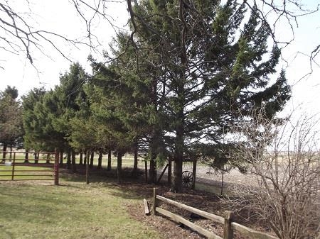 1358 County Road Highland, WI 53543 - Photo 22 of 28