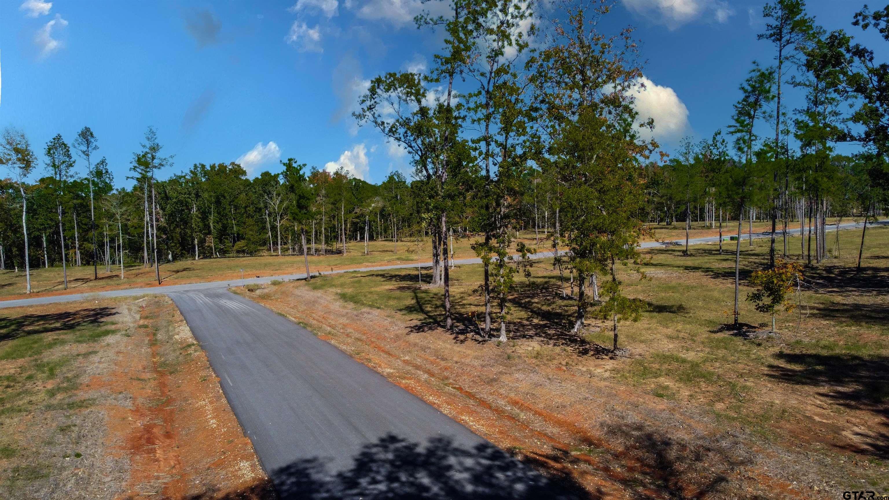 15922 Aniston Lane Flint, TX 75762 - Photo 17 of 47 a view of a park with large trees