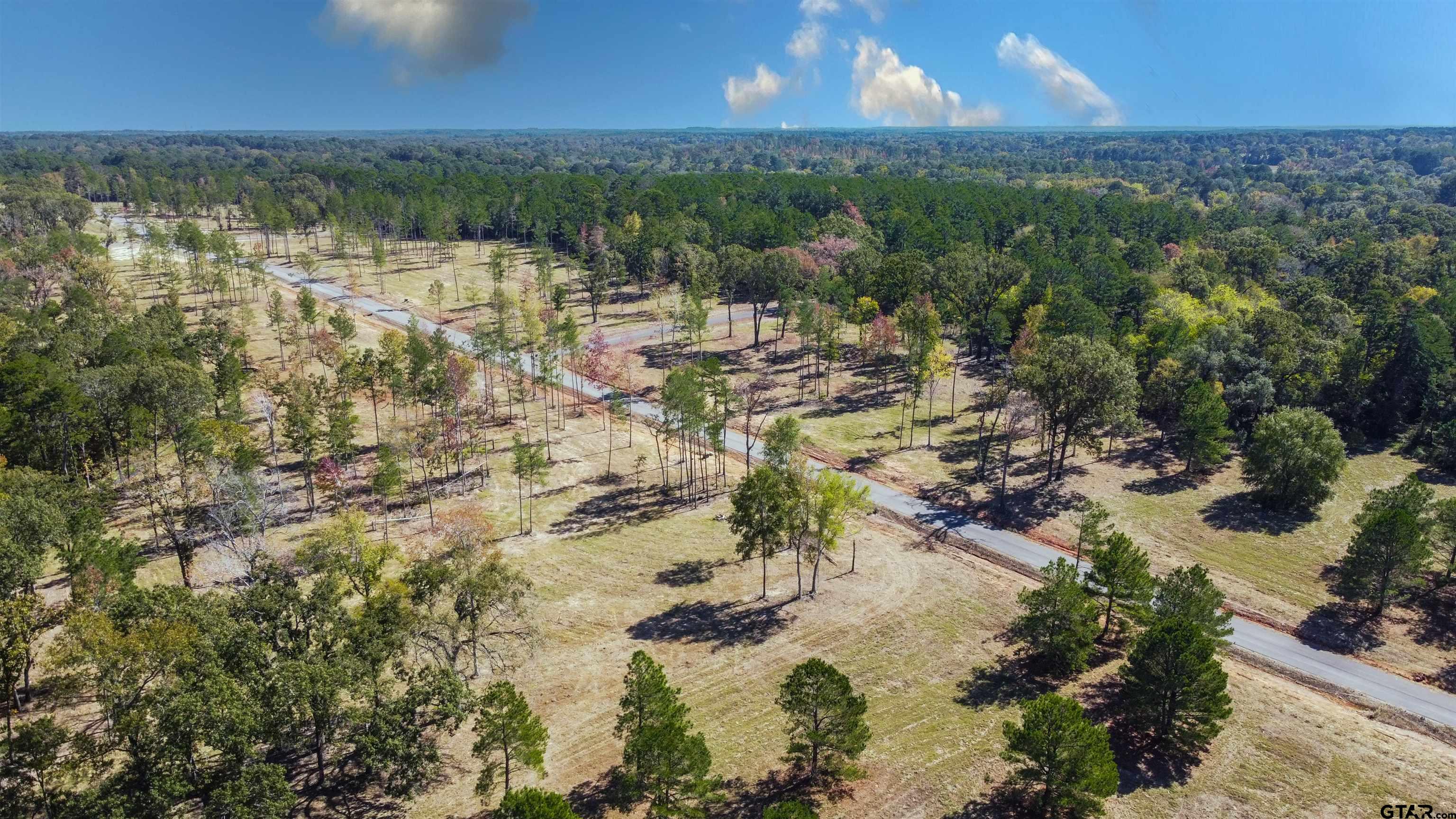 15922 Aniston Lane Flint, TX 75762 - Photo 21 of 47 a view of lake with green space