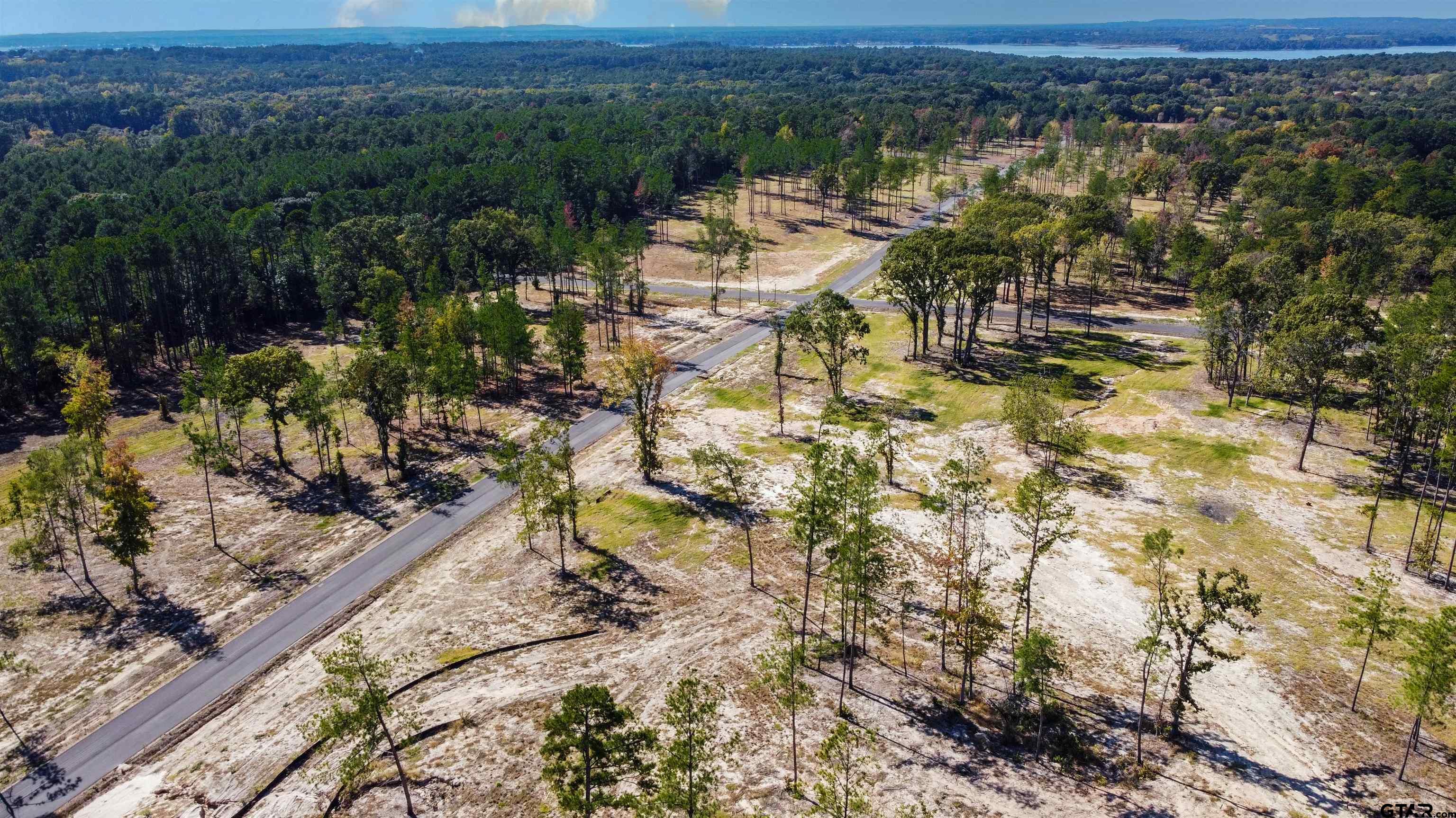 15922 Aniston Lane Flint, TX 75762 - Photo 25 of 47 a view of a lake with a mountain