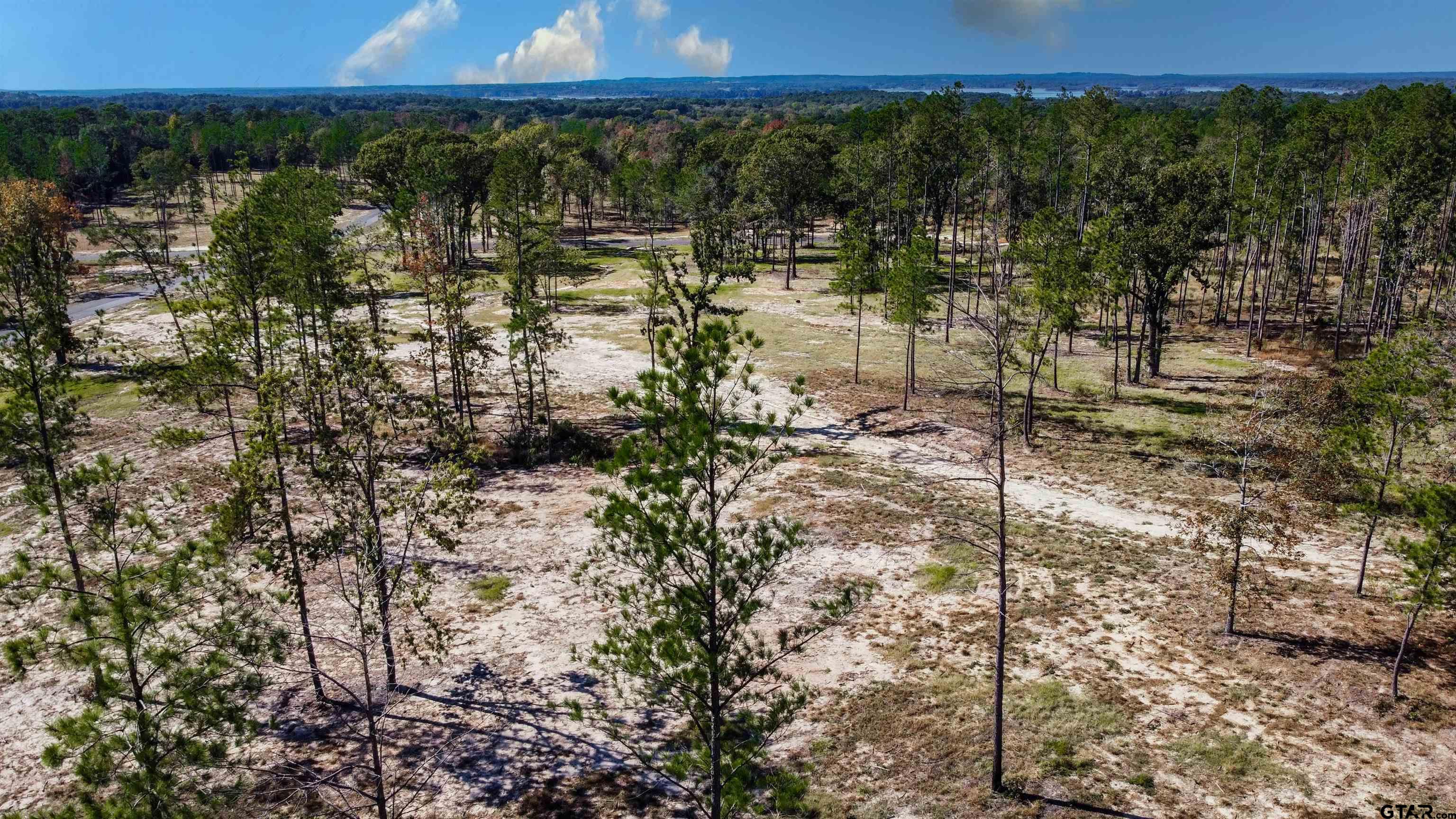 15922 Aniston Lane Flint, TX 75762 - Photo 28 of 47 a view of lake and mountain