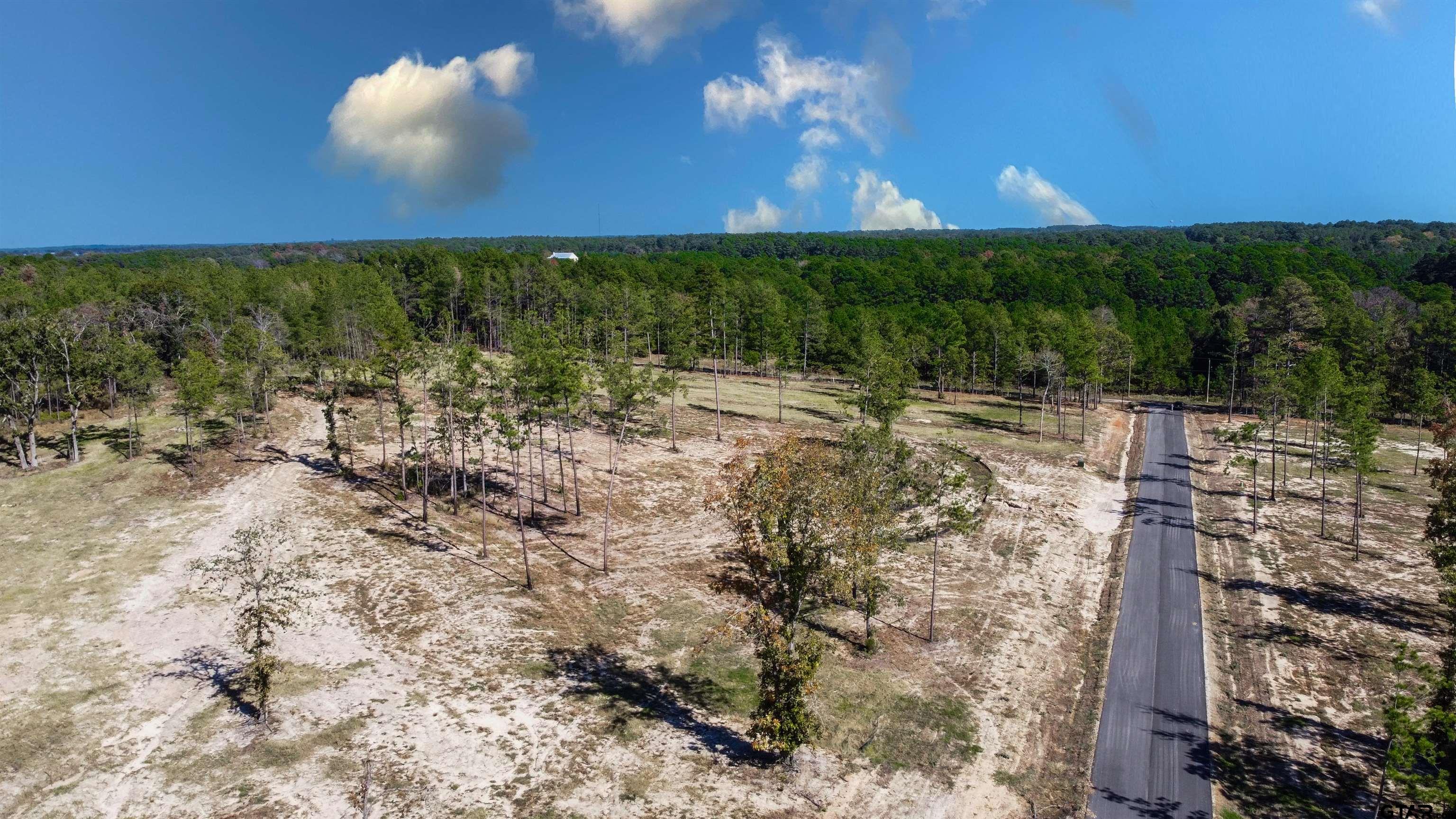 15922 Aniston Lane Flint, TX 75762 - Photo 41 of 47 a view of a yard