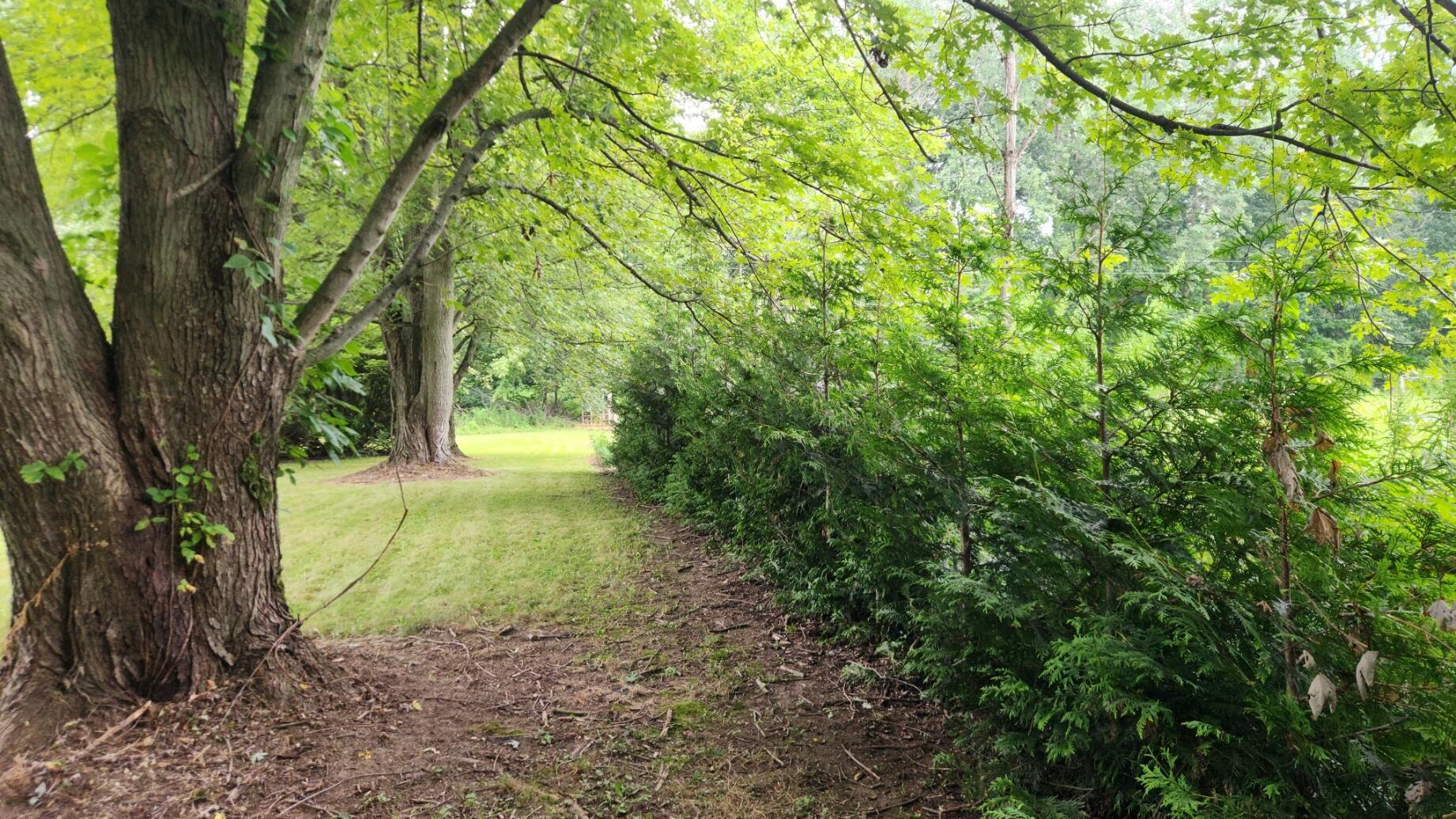 Tharp Lake Road Cassopolis, MI 49031 - Photo 19 of 22 Yard
