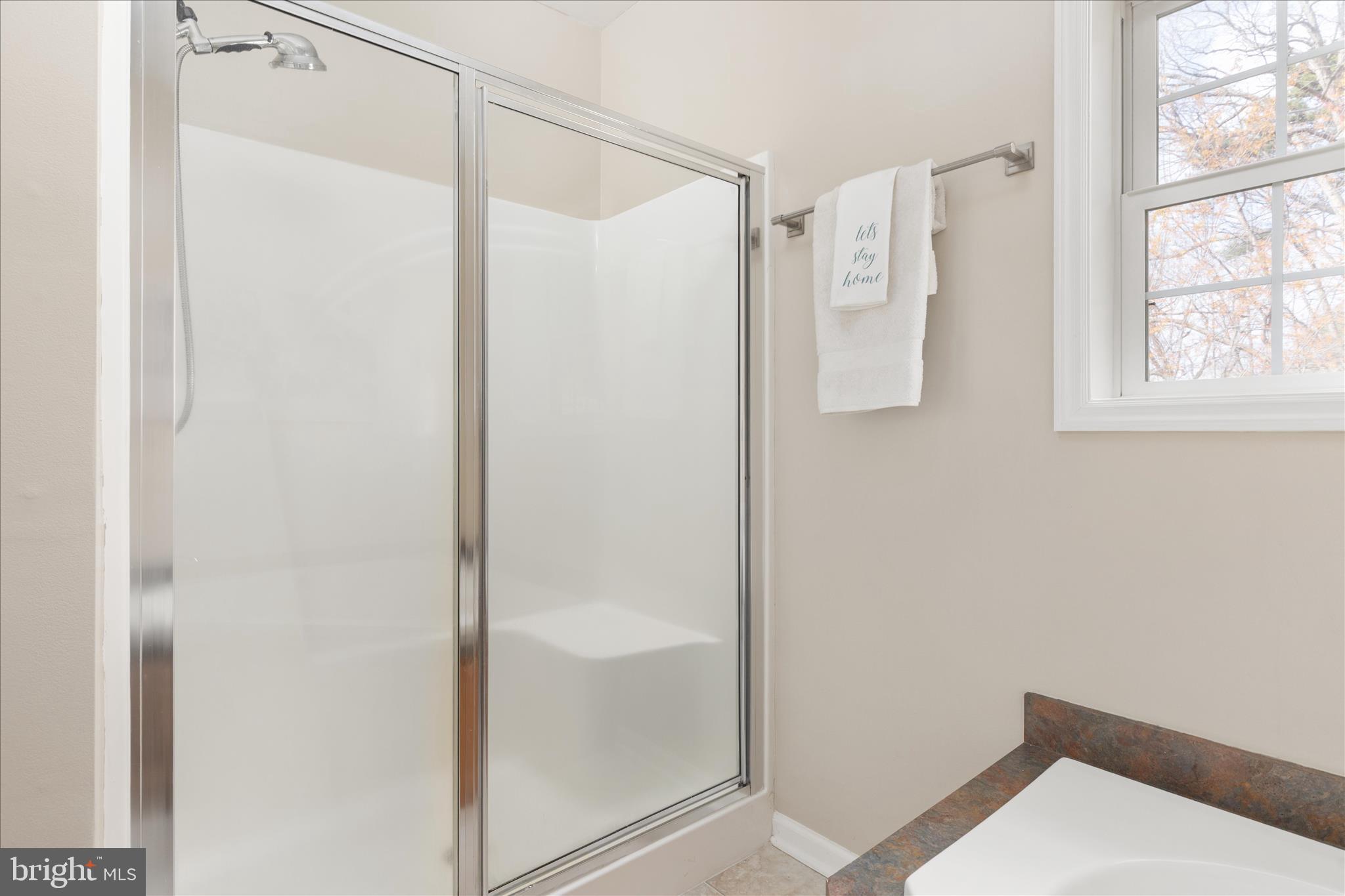 283 Rock Ridge Road Front Royal, VA 22630 - Photo 26 of 64 Primary bathroom stall shower