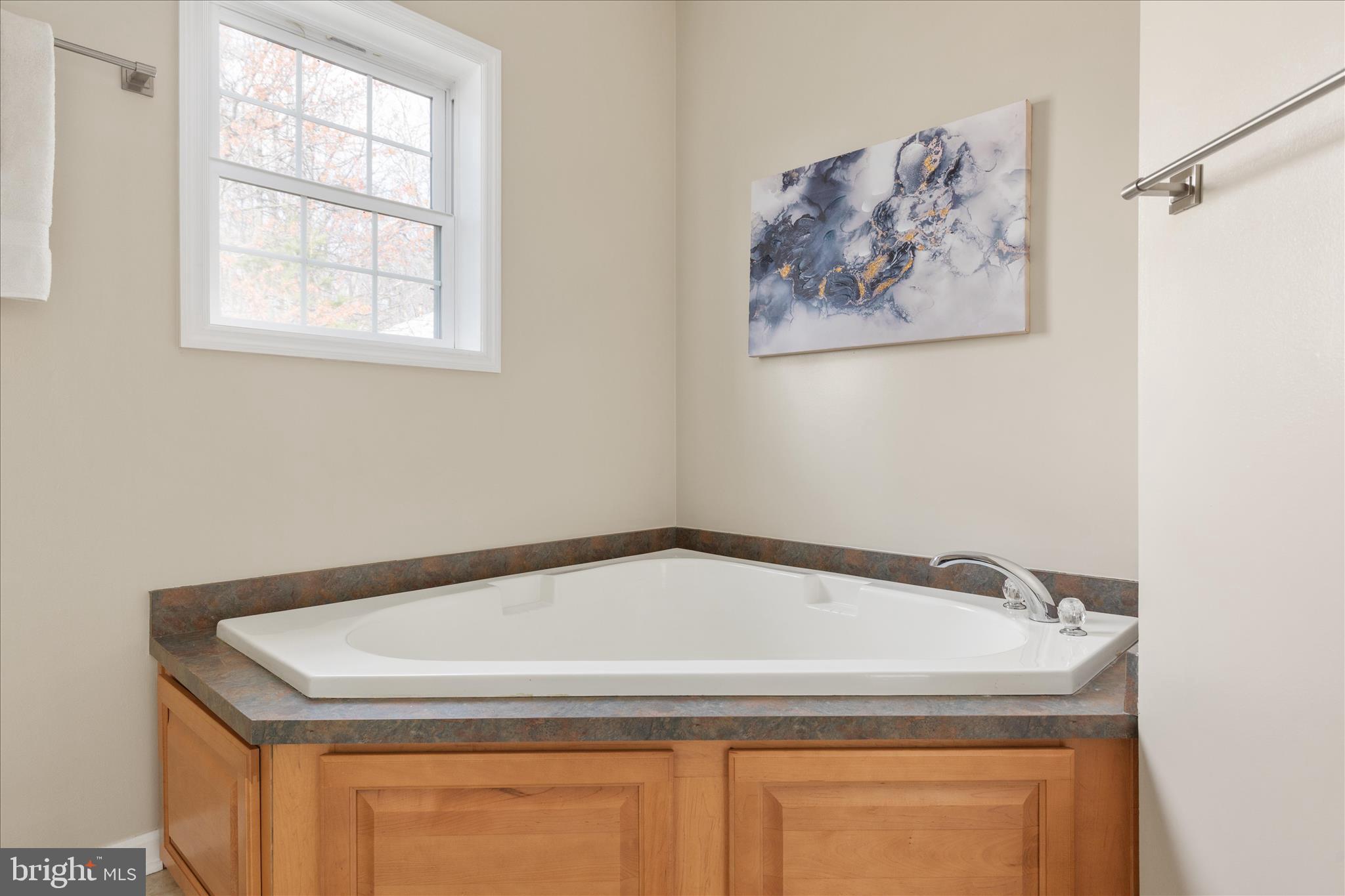 283 Rock Ridge Road Front Royal, VA 22630 - Photo 27 of 64 Primary bathroom soaking tub