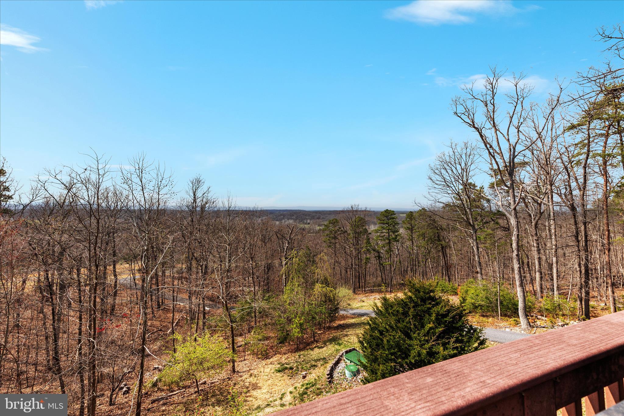 283 Rock Ridge Road Front Royal, VA 22630 - Photo 46 of 64 More baller mountain views.