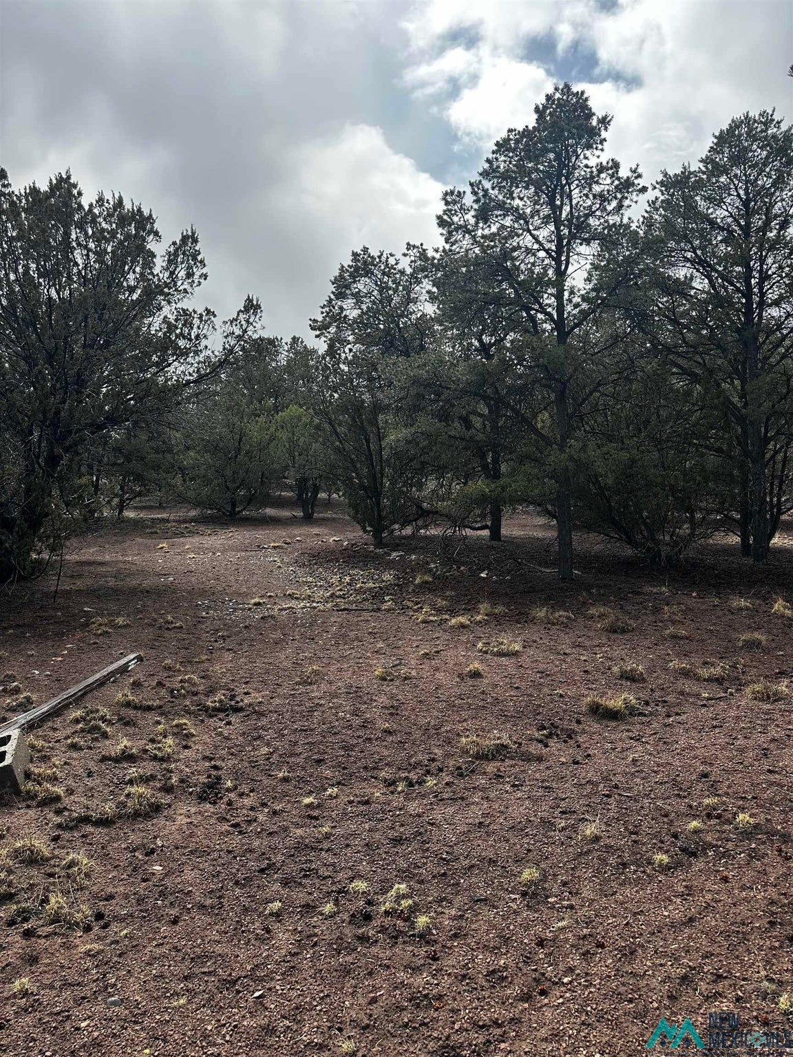 9 Juniper Way Datil, NM 87821 - Photo 12 of 13 Gallery Image 12