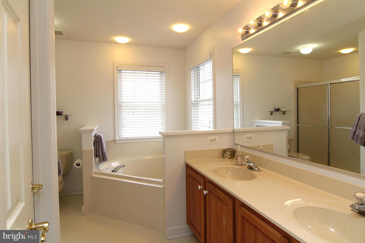 303 Longbow Road Mount Airy, MD 21771 - Photo 20 of 30 Bath (Master)