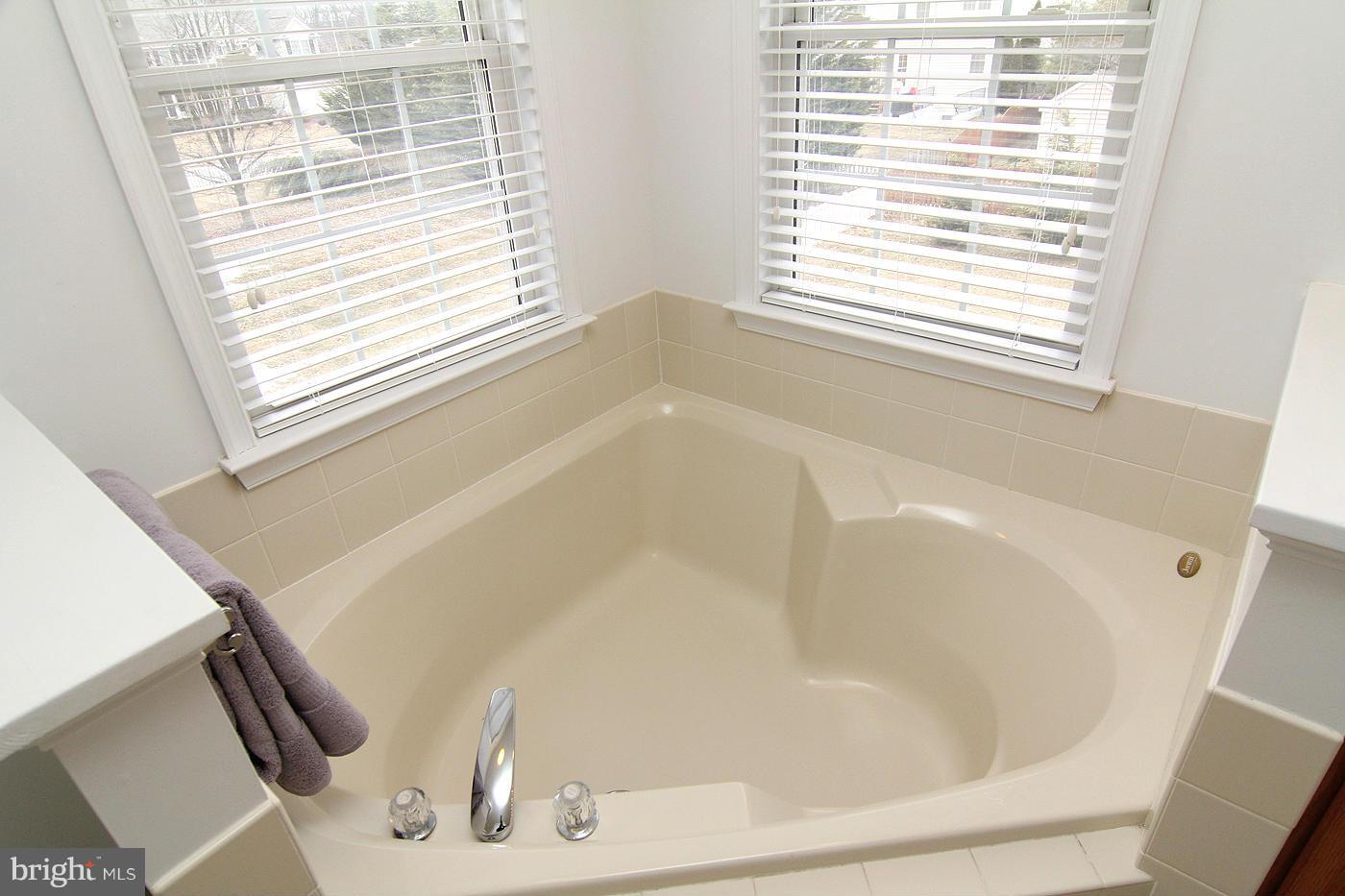 303 Longbow Road Mount Airy, MD 21771 - Photo 21 of 30 Bath (Master)