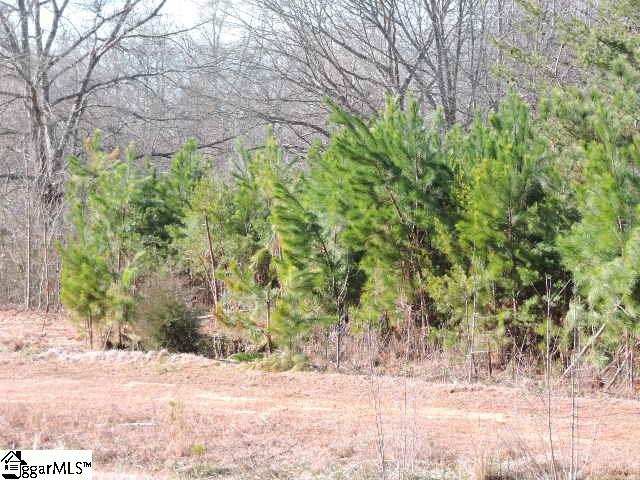 355 State Rd S-23-525 Landrum, SC 29356 - Photo 11 of 12 Gallery Image 11