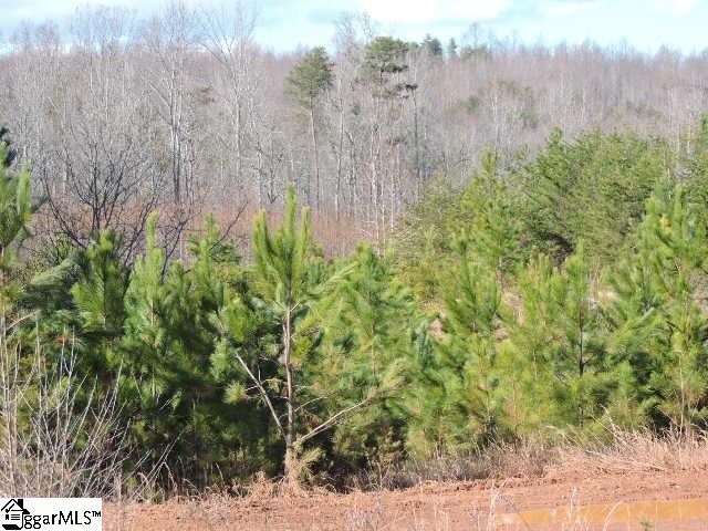 355 State Rd S-23-525 Landrum, SC 29356 - Photo 12 of 12 Gallery Image 12