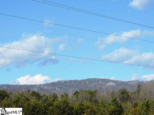 355 State Rd S-23-525 Landrum, SC 29356 - Photo 3 of 12 Gallery Image 3